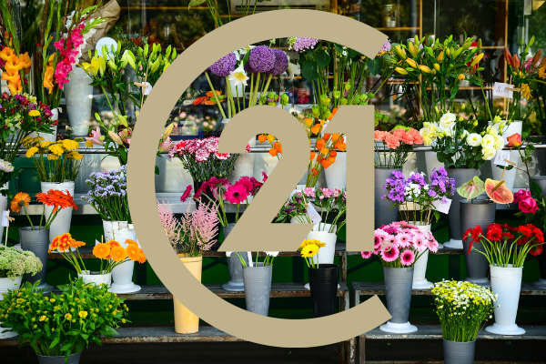 Agrandir la photo Fleurs à vendre - 44 - Loire-Atlantique